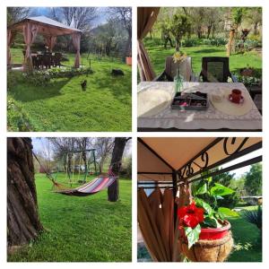 Un grupo de cuatro fotografías con una hamaca en un parque. en Guest house Charodea, en Kipilovo