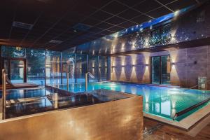 ein großer Pool in einem Gebäude in der Unterkunft Caryńska Resort & SPA in Lutowiska