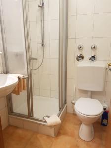 Un baño con ducha, inodoro y lavabo. en Agentur Bergblick, en Prien am Chiemsee 22 fotos más