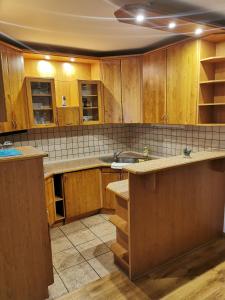 cocina grande con armarios de madera y fregadero en Hotel Diana en Nové Mesto nad Váhom