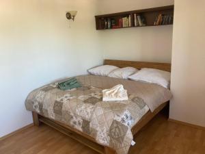 波傑布拉迪的住宿－Relaxace v blízkosti Poděbrad - Kanín，一间小卧室,配有一张带书架的床