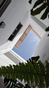 Habitación con ventana y planta verde en La Casa de Abuela en Frigiliana
