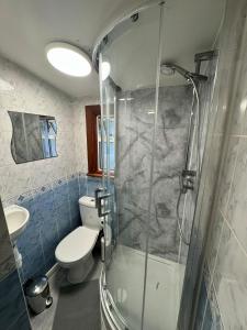 uma casa de banho com um chuveiro, um WC e um lavatório. em 25 Minutes to Central London Rooms 35 em Londres