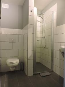 a bathroom with a shower and a toilet and a sink at Landhaus Eifelsicht in Hellenthal