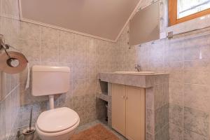 La salle de bains est pourvue de toilettes et d'un lavabo. dans l'établissement Vineyard Cottage Rataj 1, à Novo Mesto