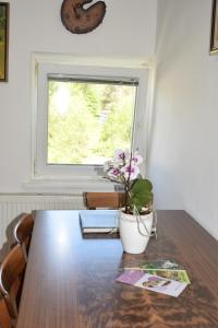 Una mesa con una planta en maceta y una ventana. en Apartma narava, en Begunje pri Cerknici 33 fotos más