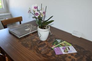 un escritorio con un jarrón de flores y un ordenador portátil en Apartma narava, en Begunje pri Cerknici