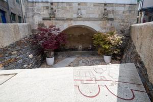 ルーゴにあるHotel Monumento Pazo de Orbánの煉瓦壁の前の鉢植え2本