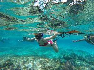 a group of people swimming in the water at Blue Angel Resort in Cozumel