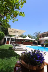 Bazén v ubytovaní B&B Casita GioJa alebo v jeho blízkosti