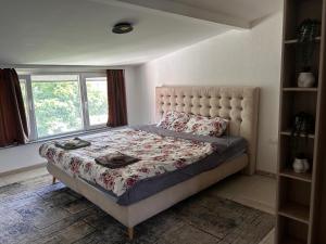 科查尼的住宿－Anton Lux Apartment，一间卧室设有一张大床和大窗户