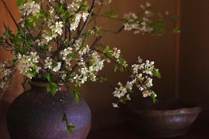 Fotografie z fotogalerie ubytování 笑竹庵 v destinaci Mikkaichi