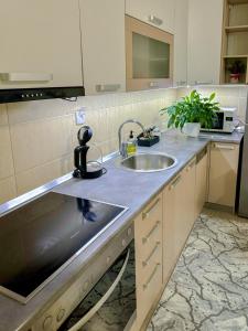 a kitchen with a sink and a counter top at PARK INN in Lukavica