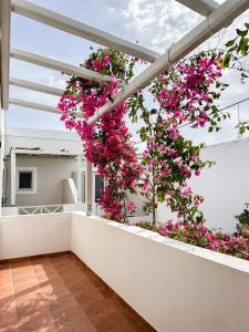 - un balcon avec des fleurs roses dans un bâtiment dans l'établissement Boutique Mare, à Galissas