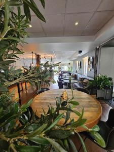 una habitación con una mesa de madera y muchas plantas en Aurum Hotel, en Skellefteå