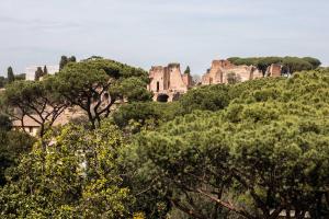 een uitzicht op de ruïnes van een kasteel achter bomen bij DarshanHome Circo Massimo in Rome