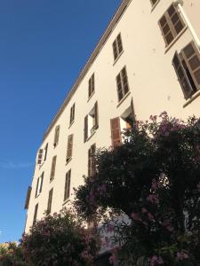a tall white building with windows and a tree at Grand Hôtel De Calvi in Calvi