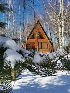 eine Blockhütte im Wald mit Schnee in der Unterkunft Forest Rhapsody Brezna in Plužine