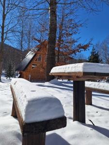 eine schneebedeckte Bank und ein Blockhaus in der Unterkunft Forest Rhapsody Brezna in Plužine