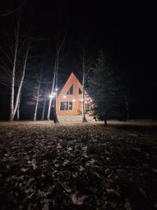 eine Hütte im Wald nachts in der Unterkunft Forest Rhapsody Brezna in Plužine