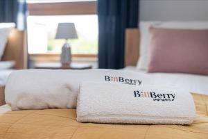 Posteľ alebo postele v izbe v ubytovaní Nova Letnica 2 - BillBerry Apartments