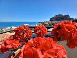 a group of red flowers on a balcony with the beach at Holidays Cefalù in Cefalù