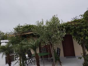 Fotografie z fotogalerie ubytování Green Oasis House in Filerimos v destinaci Ialyssos