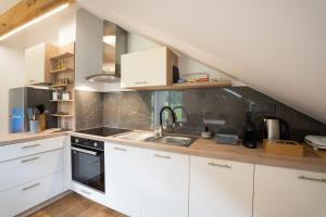 Kuchyň nebo kuchyňský kout v ubytování Forest Breeze Apartments