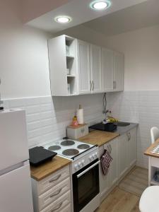 Fotografie z fotogalerie ubytování Apartman Ema v destinaci Bor