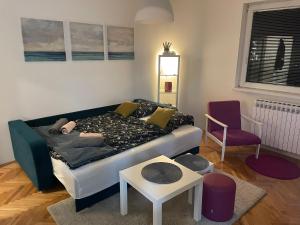 Fotografie z fotogalerie ubytování Apartman Ema v destinaci Bor