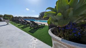 a row of chairs and plants next to a swimming pool at Apartamento Cali com Piscina in Apúlia