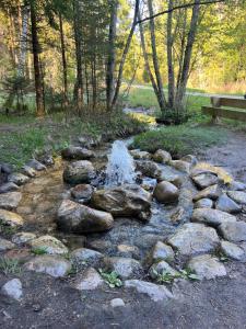 a stream of water with rocks in a park at Janune Kägu in Koeru