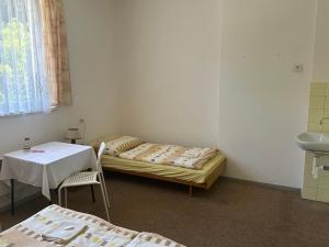 a room with a bed and a table and a sink at Pension Palla in Svojanov