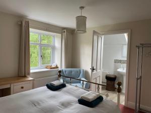 a bedroom with a bed and a window and a chair at Victorian cottage overlooking the Plym Valley in Bickleigh