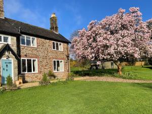 a house with a flowering tree in the yard at Victorian cottage overlooking the Plym Valley in Bickleigh