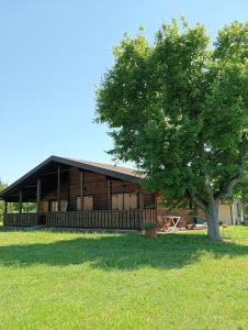 a large wooden house with a tree in a field at Le tre poiane in Terni