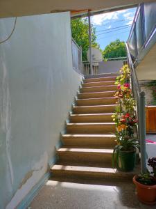 Foto dalla galleria di Guest House Shateau a Sagarejo