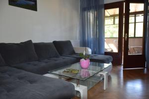 Posezení v ubytování Apartma podeželje