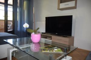 TV a/nebo společenská místnost v ubytování Apartma podeželje