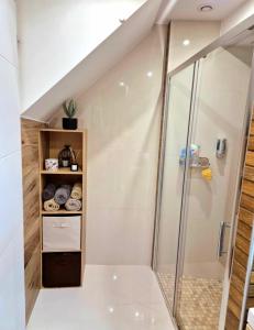 a bathroom with a walk in shower next to a toilet at Maisonnette cosy proche de La Rochelle et de L'Ile de Ré in Saint-Xandre +36 photos