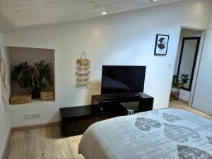 a bedroom with a bed and a flat screen tv at Maisonnette cosy proche de La Rochelle et de L'Ile de Ré in Saint-Xandre