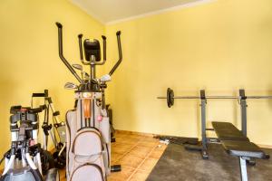 Fitness centrum a/nebo fitness zařízení v ubytování La Luna