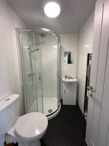 a bathroom with a shower and a toilet and a sink at Dwylig Isa Holiday Cottages in Rhuddlan