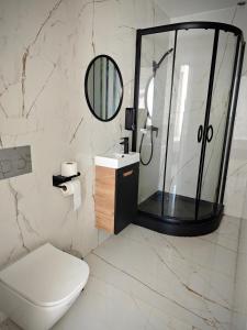 a bathroom with a shower and a toilet and a mirror at Marszałkowska Apartments Studio Central Warsaw in Warsaw +36 photos