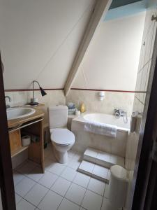 a bathroom with a toilet and a tub and a sink at Hotel De Gravin van Vorden in Vorden