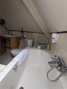a bathroom with a bath tub and a toilet at Hotel De Gravin van Vorden in Vorden