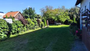 a yard with green grass and a house at Zefirek in Stegna
