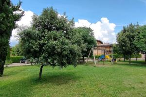 un árbol en un campo con parque infantil en Alle porte di Siena, en Rosia 10 fotos más