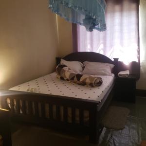 ein kleines Bett in einem Schlafzimmer mit Fenster in der Unterkunft Safari Junction Backpackers hostel in Iringa