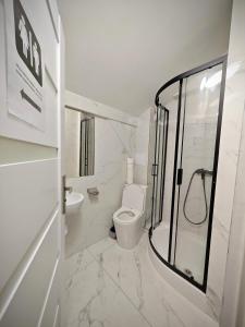 a white bathroom with a toilet and a shower at Apartamenty Hoża Attic Studio in Warsaw